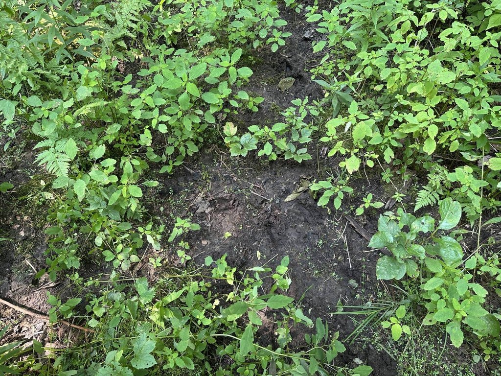 Picture 31