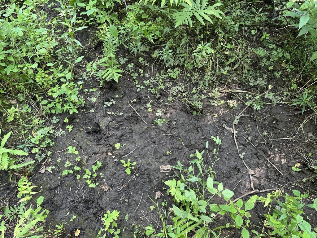 Picture 24