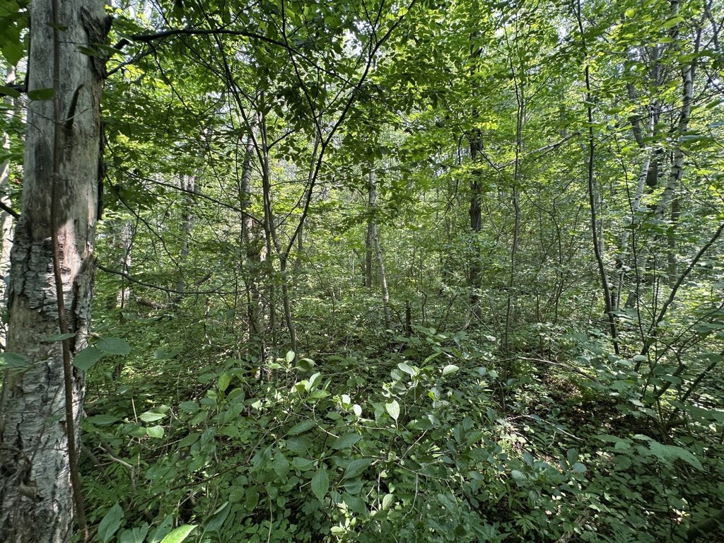 Picture 42