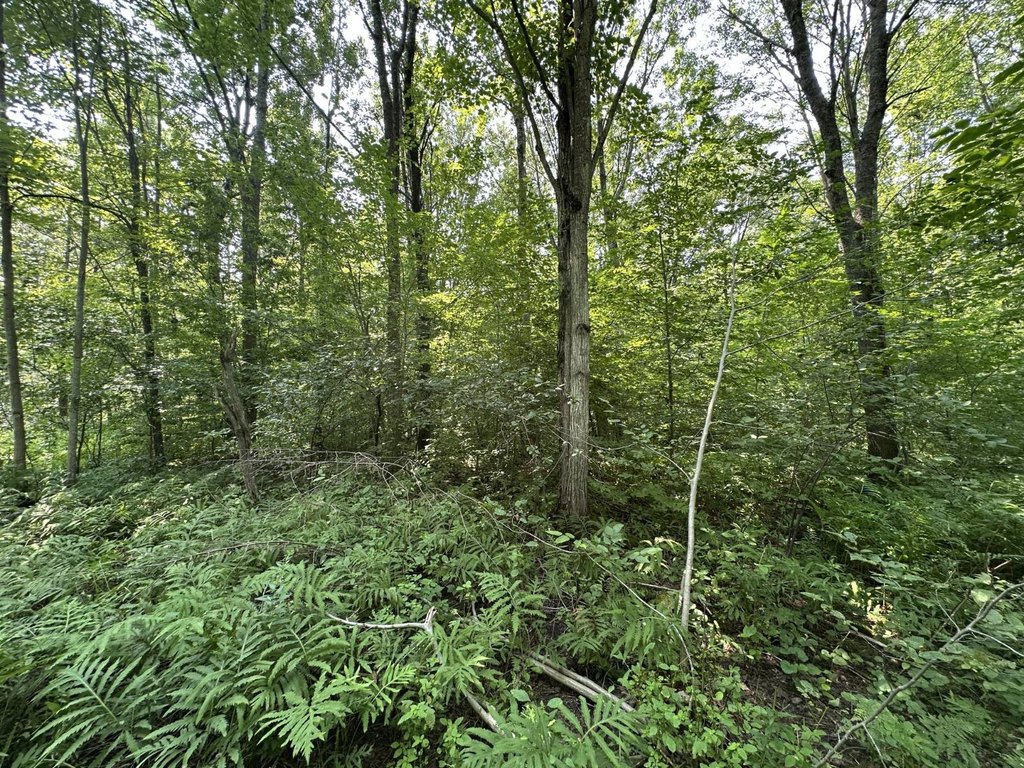 Picture 40