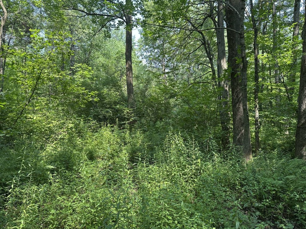 Picture 28