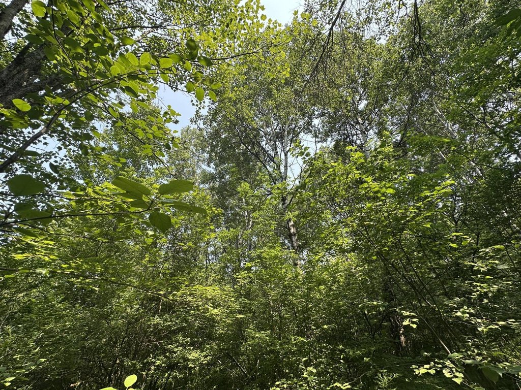 Picture 33