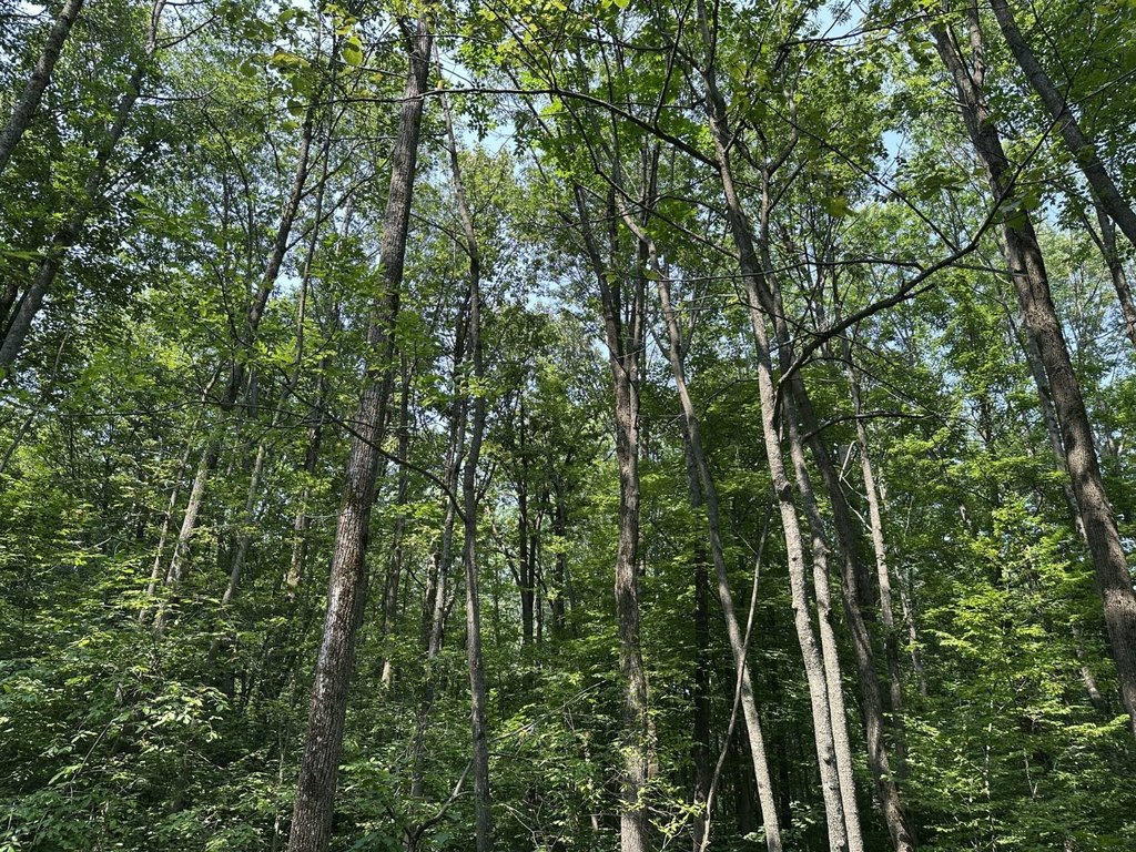 Picture 27
