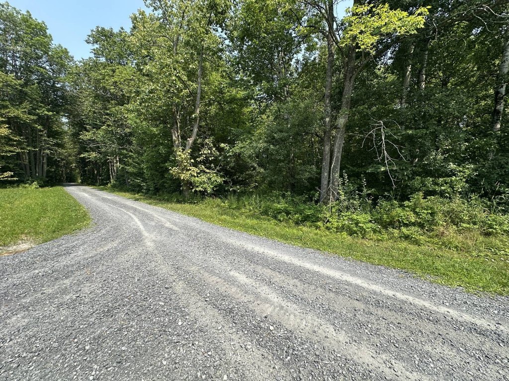 Picture 4