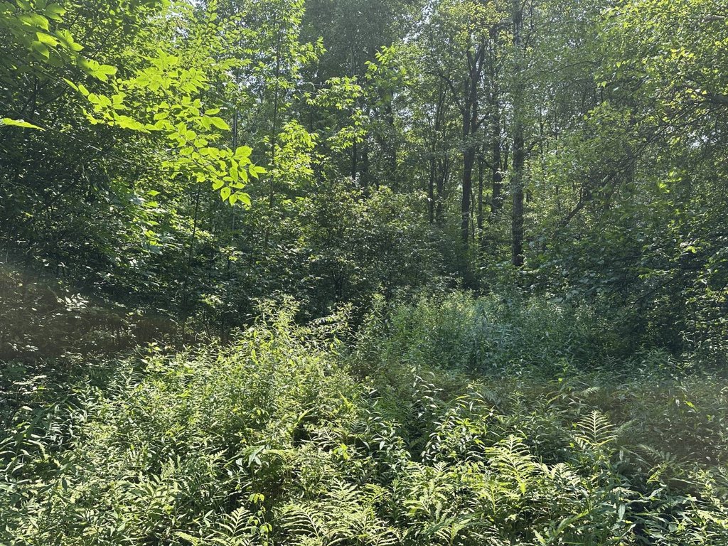 Picture 30