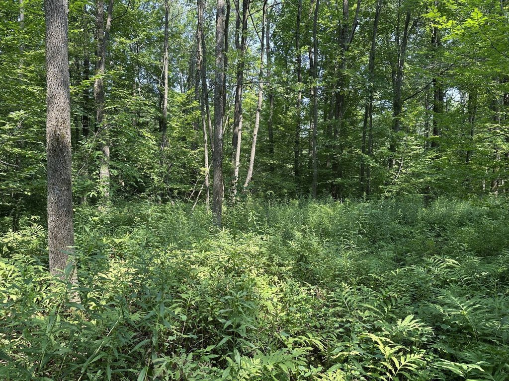 Picture 23