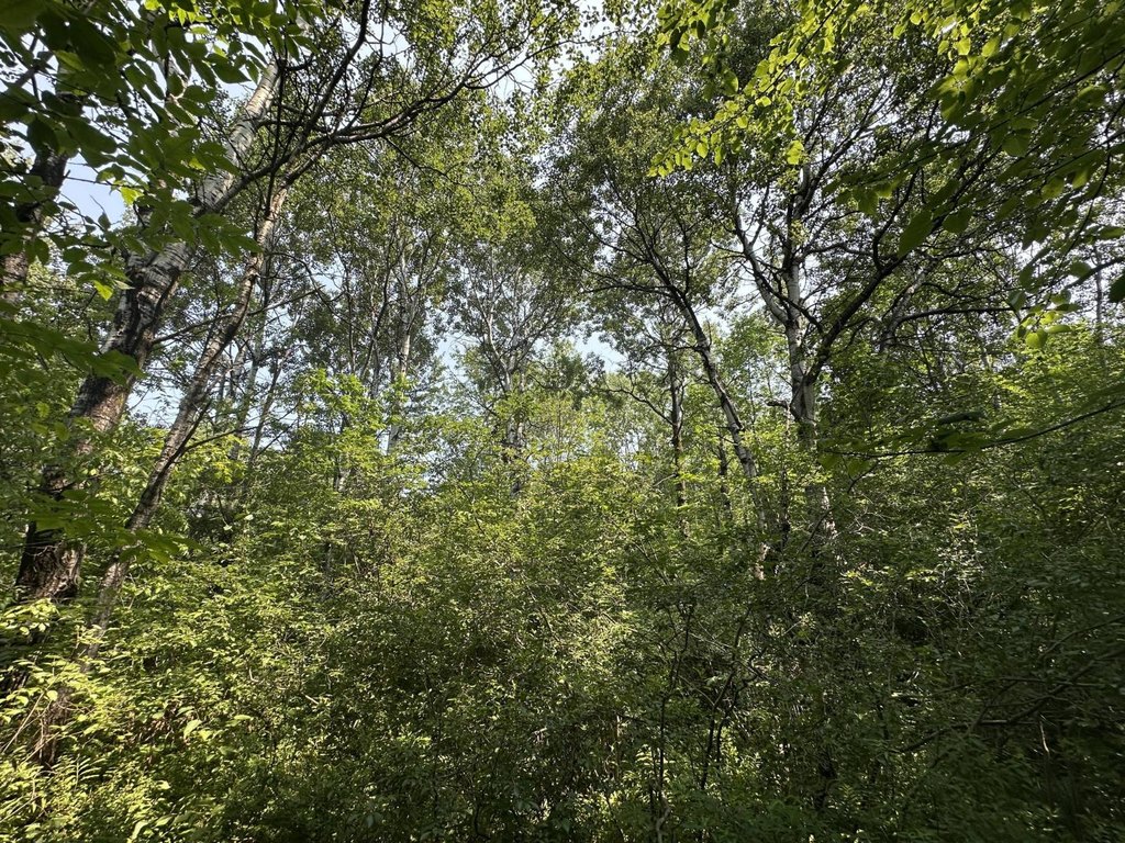 Picture 36