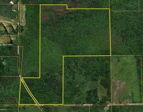 Recreational Hunting Land Tract
