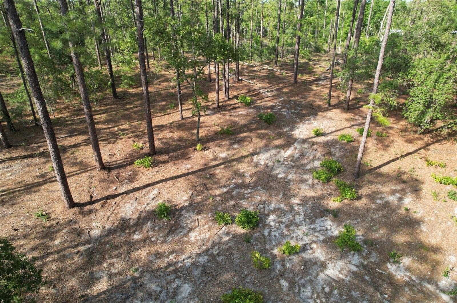 Land - MORRISTON, FL