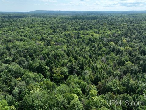120 Acres Vacant Land For Sale
