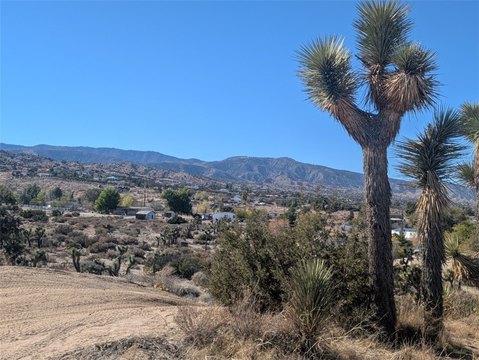 Phelan Land with Mountain Views