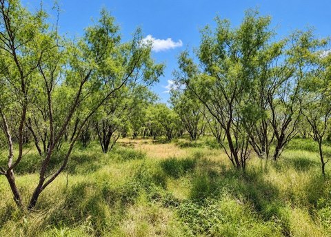 Fenced Hunting Land with Stock Tank