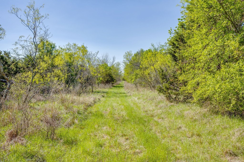 Picture 30