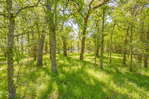 Recreational Hunting and Pasture Land