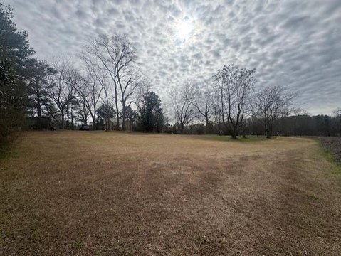 Land Near Downtown Greenville, AL