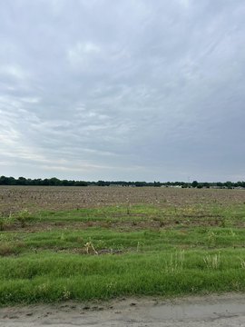Residential Lot in Wynne, AR
