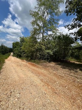 LAND - Eagle Rock, MO