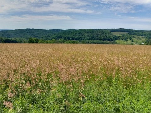 LAND - BAINBRIDGE, NY