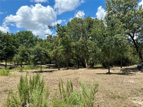 Land, Iola, TX