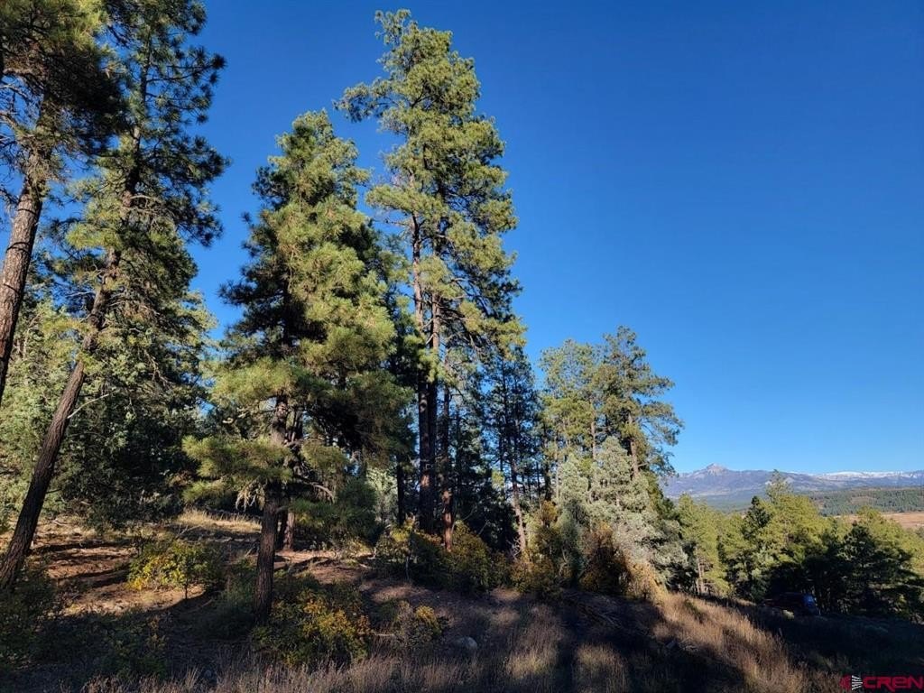 Land in Pagosa Springs, CO