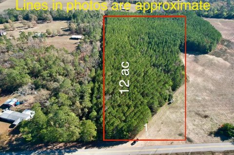 Headland, AL 12-Acre Parcel