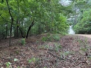 Lake-View Recreation Land Lot