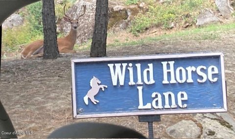 Land, Bonners Ferry, ID