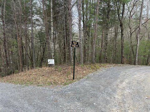 Buildable Waterfront Lot