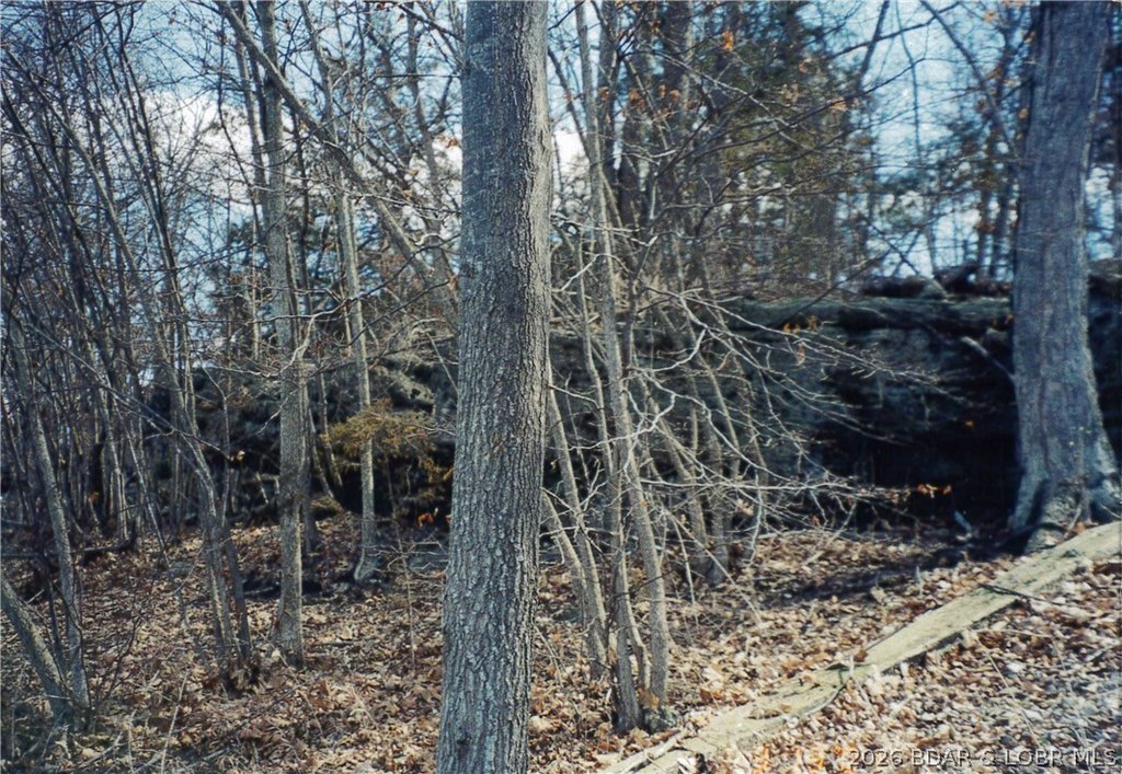 Picture 4