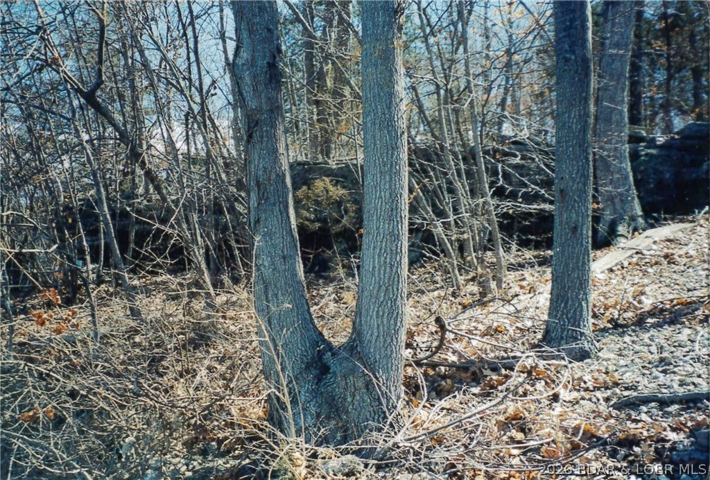 Picture 7