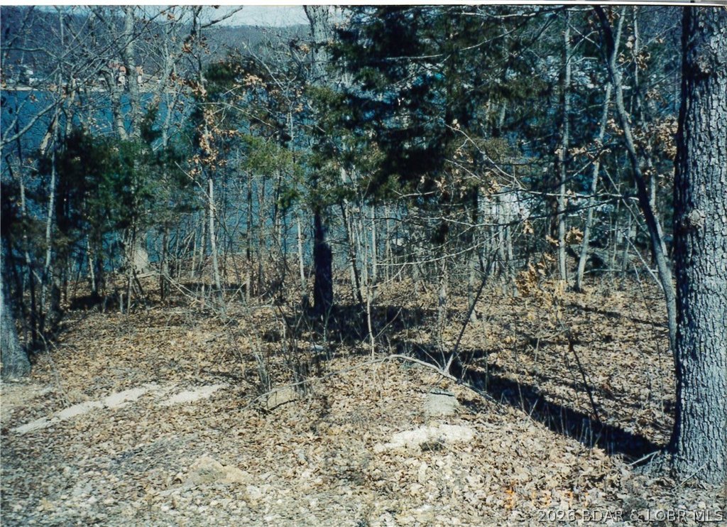 Picture 5