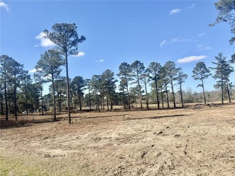 Residential Land in Beauregard Community