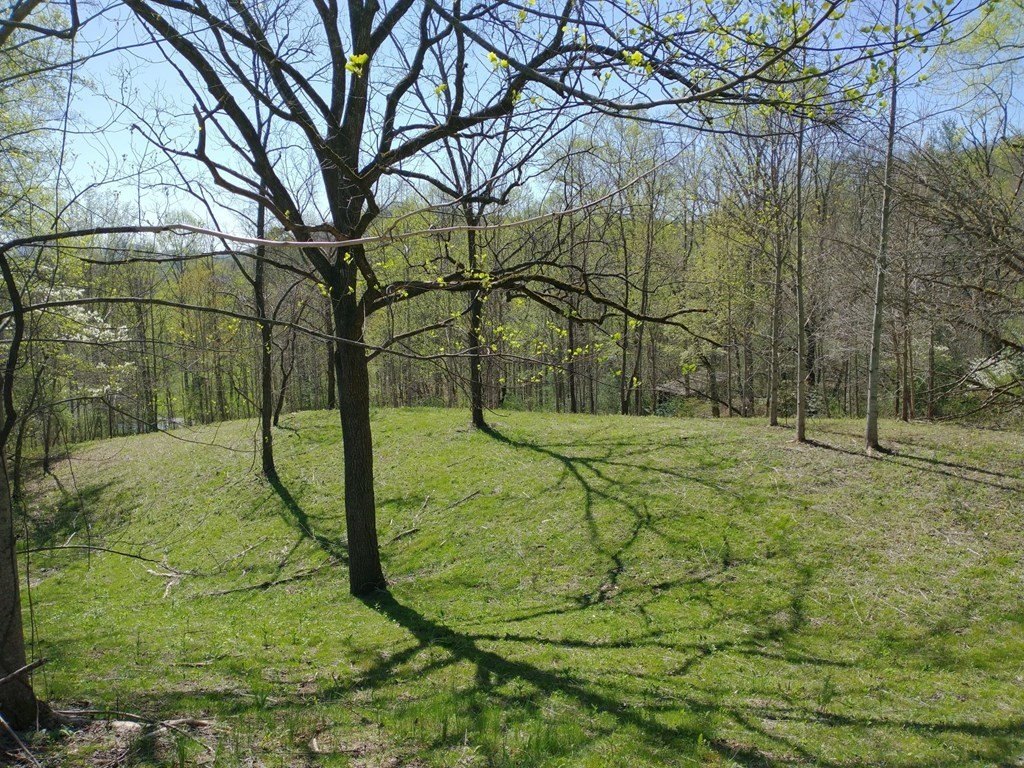 Picture 27