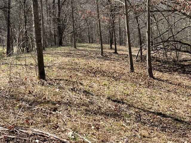 Picture 19