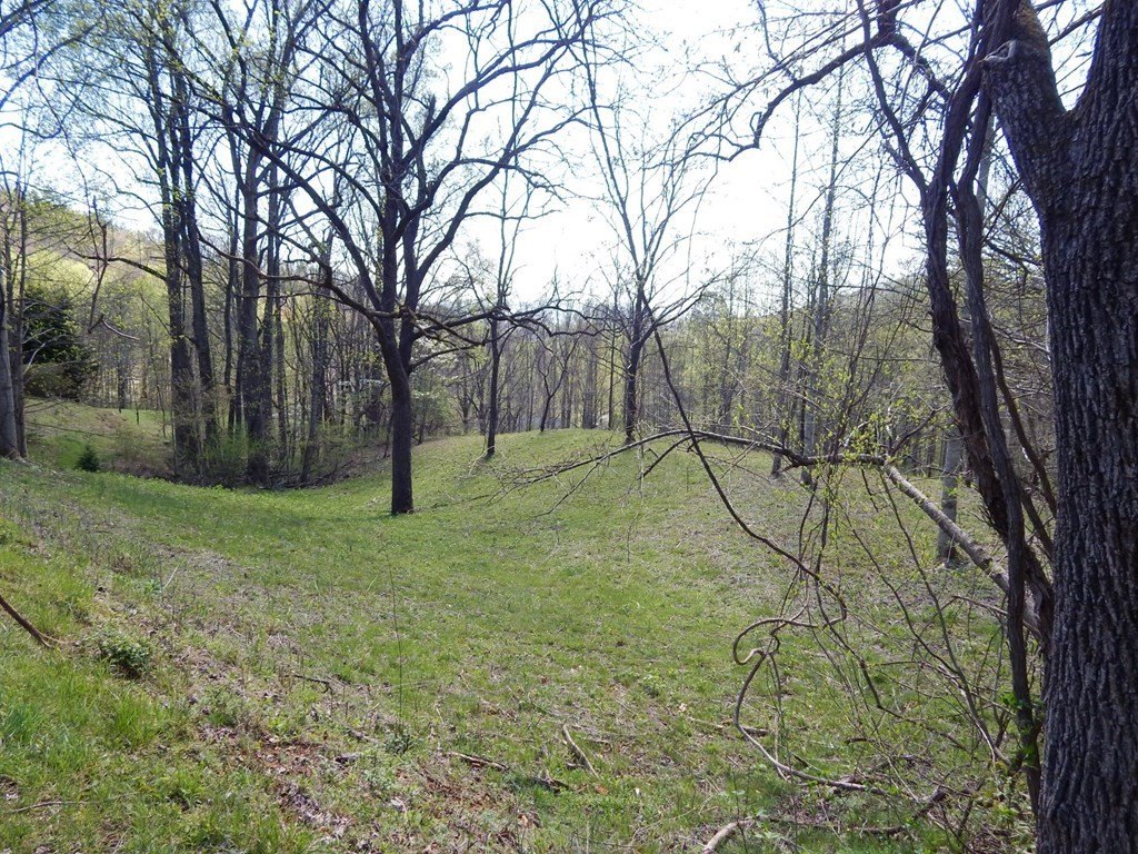 Picture 13