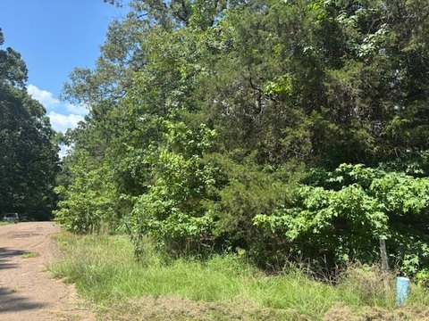 LAND - Mount Vernon, TX