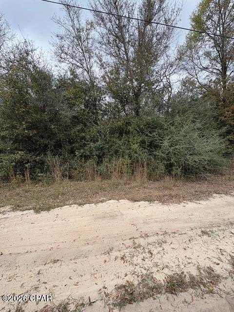Wooded Land in Youngstown, FL