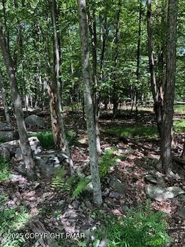 Pocono Lakeshore Land Opportunity