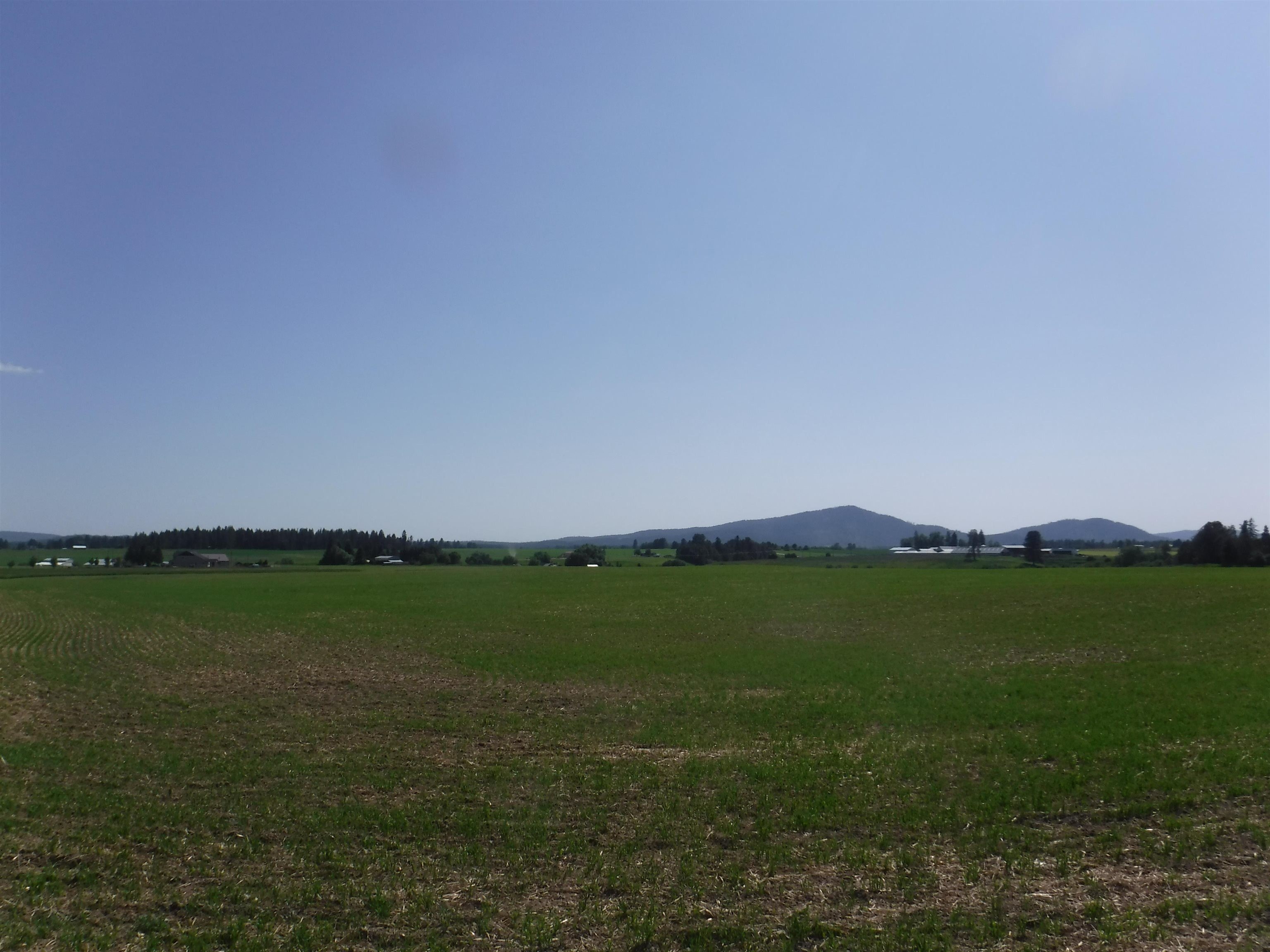 9 Acres of Developable Land