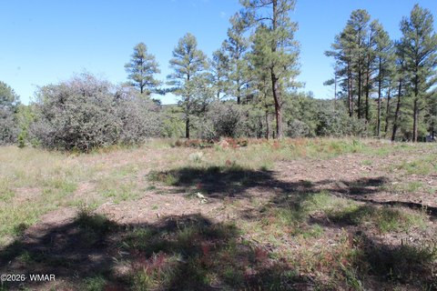 Land, Show Low, AZ