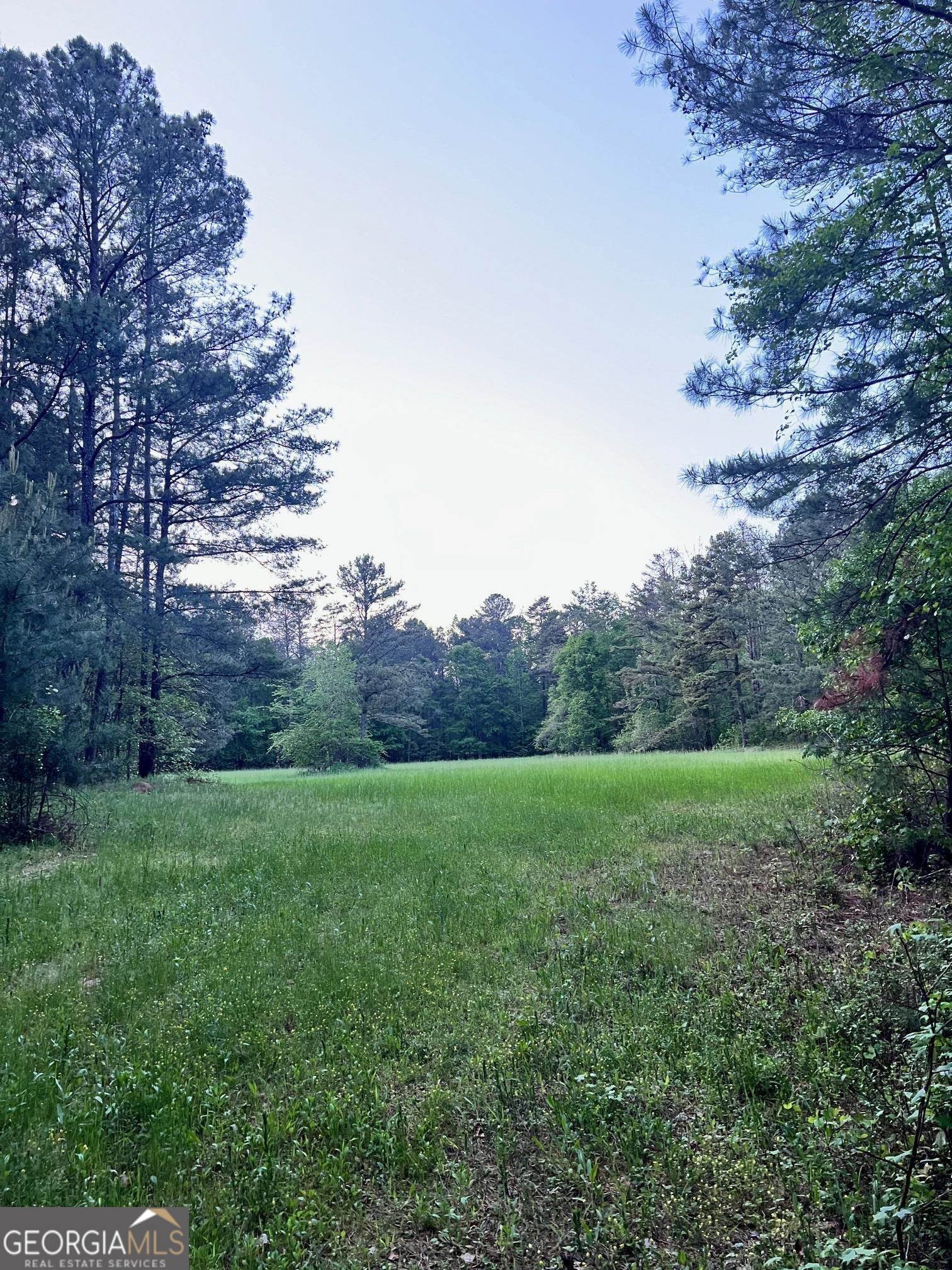 Watkinsville Land with Timber