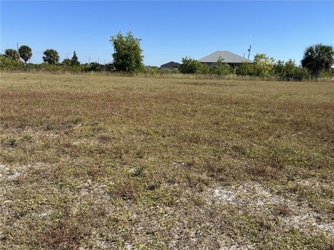 Cleared Lot in Growing Cape