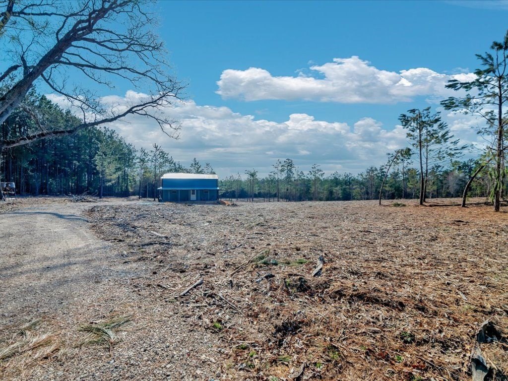 Picture 22