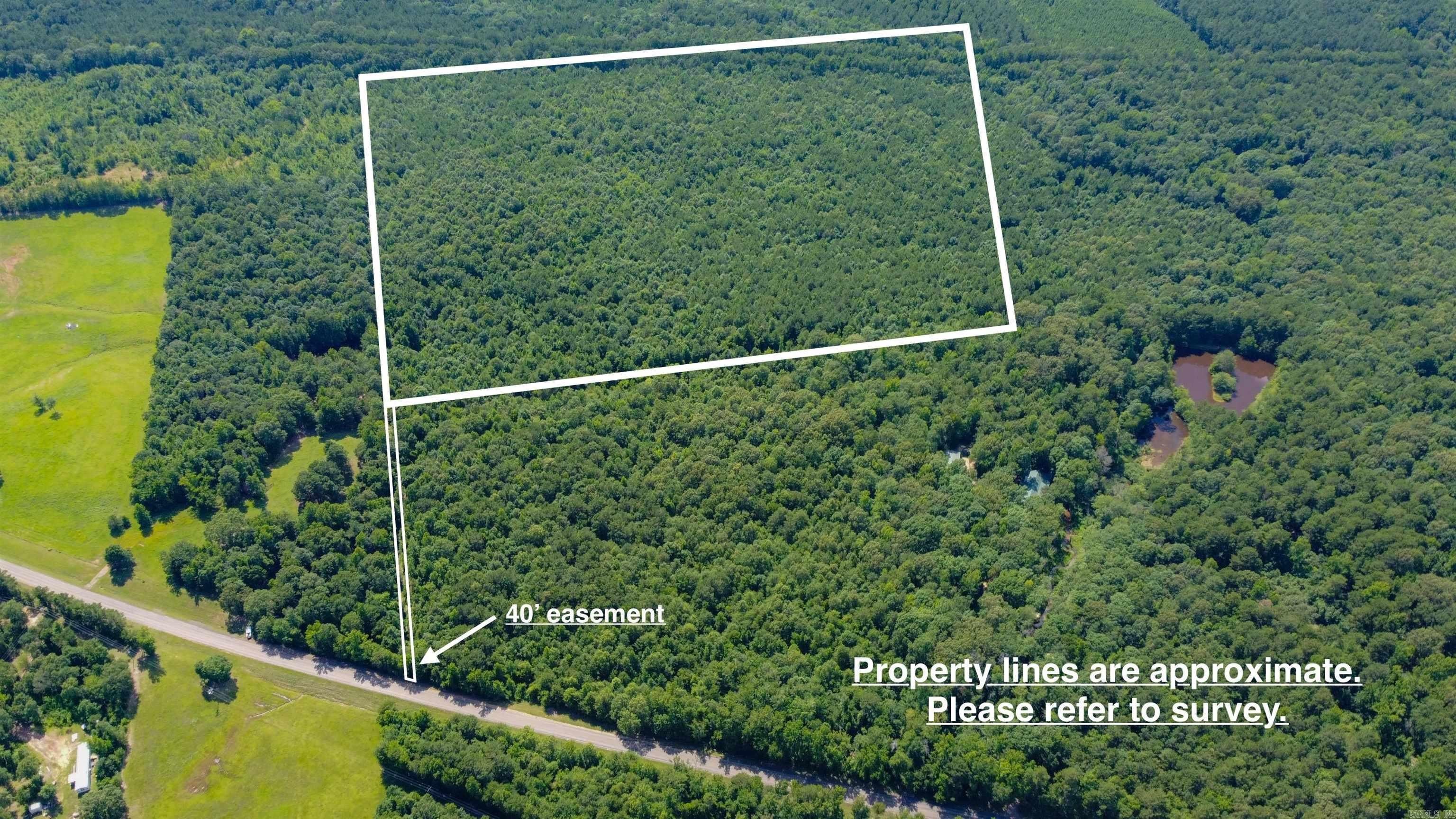 80 Acres of East Texas Land