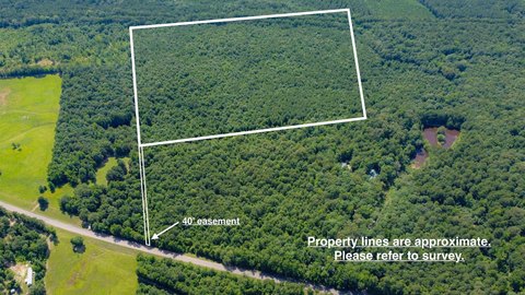 80 Acres of East Texas Land