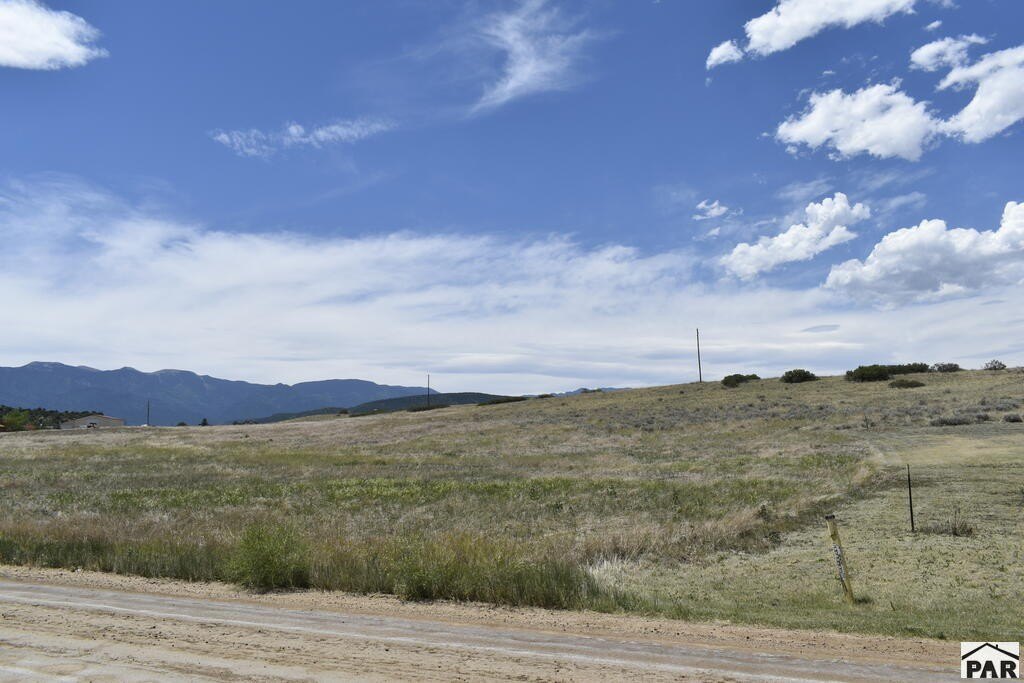 Picture 7
