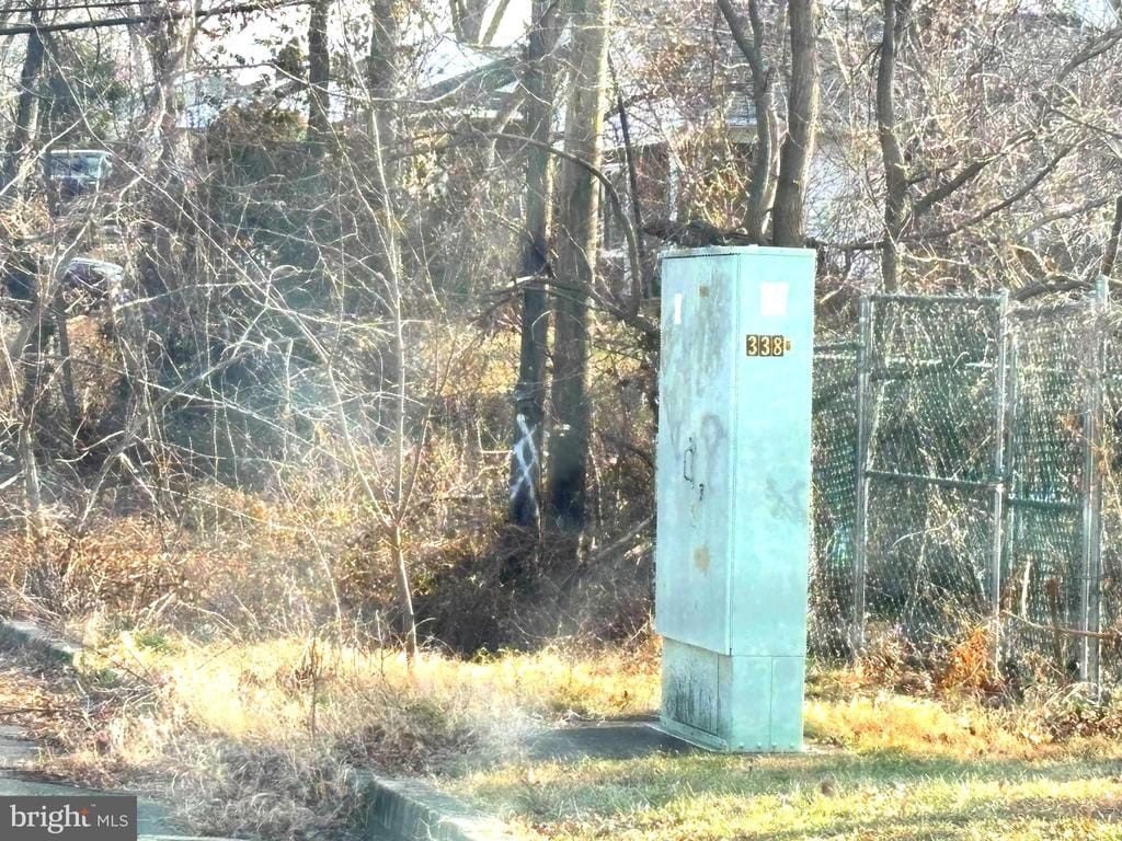 Picture 5