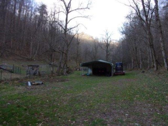 Picture 8