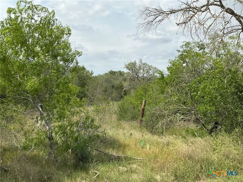 Secluded 13 Acres in Smiley