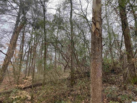 Hartselle Land For Sale